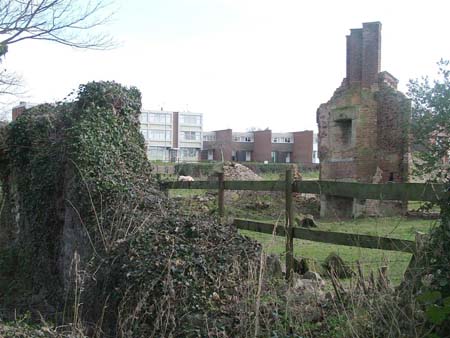 Castle from Rear