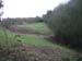 Castle Moat